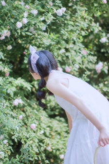 明星专题：李佳